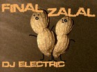 Picture for song 'Final Zalal' by artist 'Dj Electric'