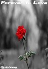 Picture for song 'Forever In Love (2006)' by artist 'DjJohnnyA'