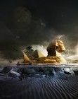 Picture for song 'DREAMY SUN ~ R.I.P. TOM KITTY!' by artist 'DJ LYF'