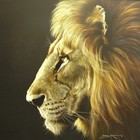 Picture for song 'Burn 1' by artist 'DJ Navigator Beatz'