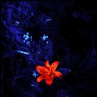 Picture for song 'Wci pamietam' by artist 'Dj RuSHeR'