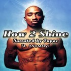 Picture for song 'How 2 Shine - Narrated by Tupac (Ft. AnomalyJ)' by artist 'DNK Muzic'