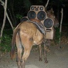 Picture for song '1,2,3, - DJ NINO' by artist 'Dollahittmen records'