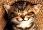 Picture for song 'DonWaveBeats - just smile' by artist 'Don Wave Beats'