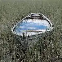 Picture for song 'TAINTED WATER' by artist 'DOOMTRAINmusic'