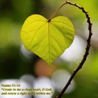 Picture for song 'Create in Me a Pure Heart, O God' by artist 'Douglas Nicol'