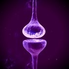 Picture for song 'Synapse' by artist 'Drew Costigan'