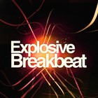 Picture for song 'breakbeat' by artist 'dutch instrumental beats'