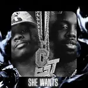 Picture for song '"She Wants" EST Gee & 42 Dugg Type Beat' by artist 'D V 1 R V E R S BEATS'