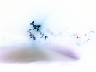 Picture for song 'phoamin ada Moff' by artist 'D X M digital experimental music'