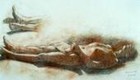 Picture for song 'AVE SATANI' by artist 'D-XRISTO'