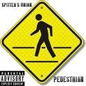 Picture for song 'SPITTERS UNION-Pedestrian' by artist 'Earl Flynn'