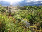 Picture for song 'Weit im Nordland' by artist 'Effekto'