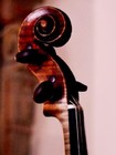 Picture for song 'Sonata Piece Op. 49, nº1 for Orchestra (Beethoven' by artist 'eloydelpalacio'