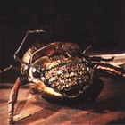 Picture for song 'Interzone Inc' by artist 'Ergotoxin'