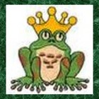 Picture for song 'A Fairy Tale' by artist 'Evan's Orchid'