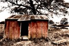 Picture for song 'I Hope Your Cottage Is Right By Mine' by artist 'Eva Wilson'