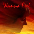 Picture for song 'Wanna Feel' by artist 'Evotica'