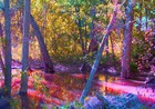 Picture for song 'Halo-esque' by artist 'Experiment 317'