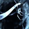 Picture for song 'New Generation (Radio Edit)' by artist 'External Blare'