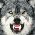 Picture for song '** Smell of Fear **' by artist 'FhyreMann Productions'