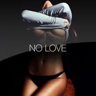 Picture for song 'NO LOVE' by artist 'FlashBeats.net'