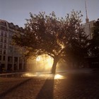 Picture for song 'Mellow Out' by artist 'Flash-Gordon'