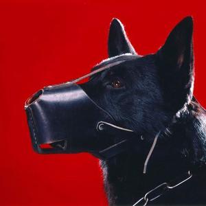 Picture for song 'FOCUS ( BUY 1 GET 2 FREE )' by artist 'Fourthirty'