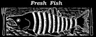 Picture for song 'Debt' by artist 'Fresh Fish'