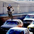 Picture for song 'Street Jungle (free d/l)' by artist 'FrozenjaZz'