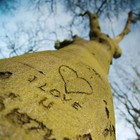 Picture for song 'FTT - Forever u and i remix Thai' by artist 'FTT'