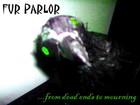 Picture for song 'Worms In The Apple' by artist 'Fur Parlor'