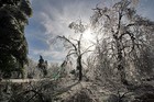 Picture for song 'Crystal Forrest' by artist 'g3nome'