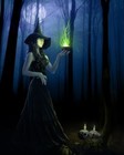 Picture for song 'Witch'y Brew ( All Hallow's 2009 )' by artist 'Gary Mackintosh-White (RoadKill Music)'