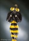 Picture for song 'box of wasps' by artist 'gary reynolds (VA)'