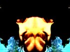 Picture for song 'Singing' by artist 'Gefrin'