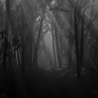 Picture for song 'SilverBeatYannick - *Scary* Black Shadow | Free DL' by artist 'German Era Records'