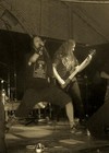 Picture for song 'Paradise of Insanity' by artist 'Ghord'