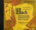 Picture for song 'Brandenburg Concerto No. 3- Allegro' by artist 'Goose Creek Bands'
