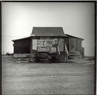 Picture for song 'The New Agenda' by artist 'Graham's Cat'