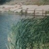 Picture for song 'Rathe stream' by artist 'greenminstrey'
