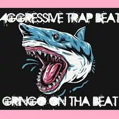 Picture for song 'Trap Rock$tar #4435 151bpm' by artist 'Gringo On Tha Beat'