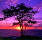 Picture for song 'Way Cool' by artist 'Groove My Soul'