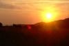 Picture for song 'Plein Soleil' by artist 'haiku (DK)'