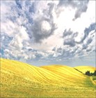 Picture for song 'Fields of Joy' by artist 'Harmony Productions'