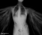 Picture for song '^i^Flatlining_Angels^i^{with Alien Instatution}' by artist 'heart shapes of isolation'