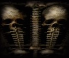 Picture for song 'Following the Hyskas Horde' by artist 'Hedonistic Exility'