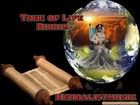 Picture for song 'Tree of Life Riddim - 60.21' by artist 'HerbalistMusic'