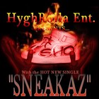 Picture for song 'Sneakaz' by artist 'HyghRolla Ent.'