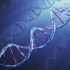 Picture for song 'The Science Song' by artist 'Ian Bourne Music'